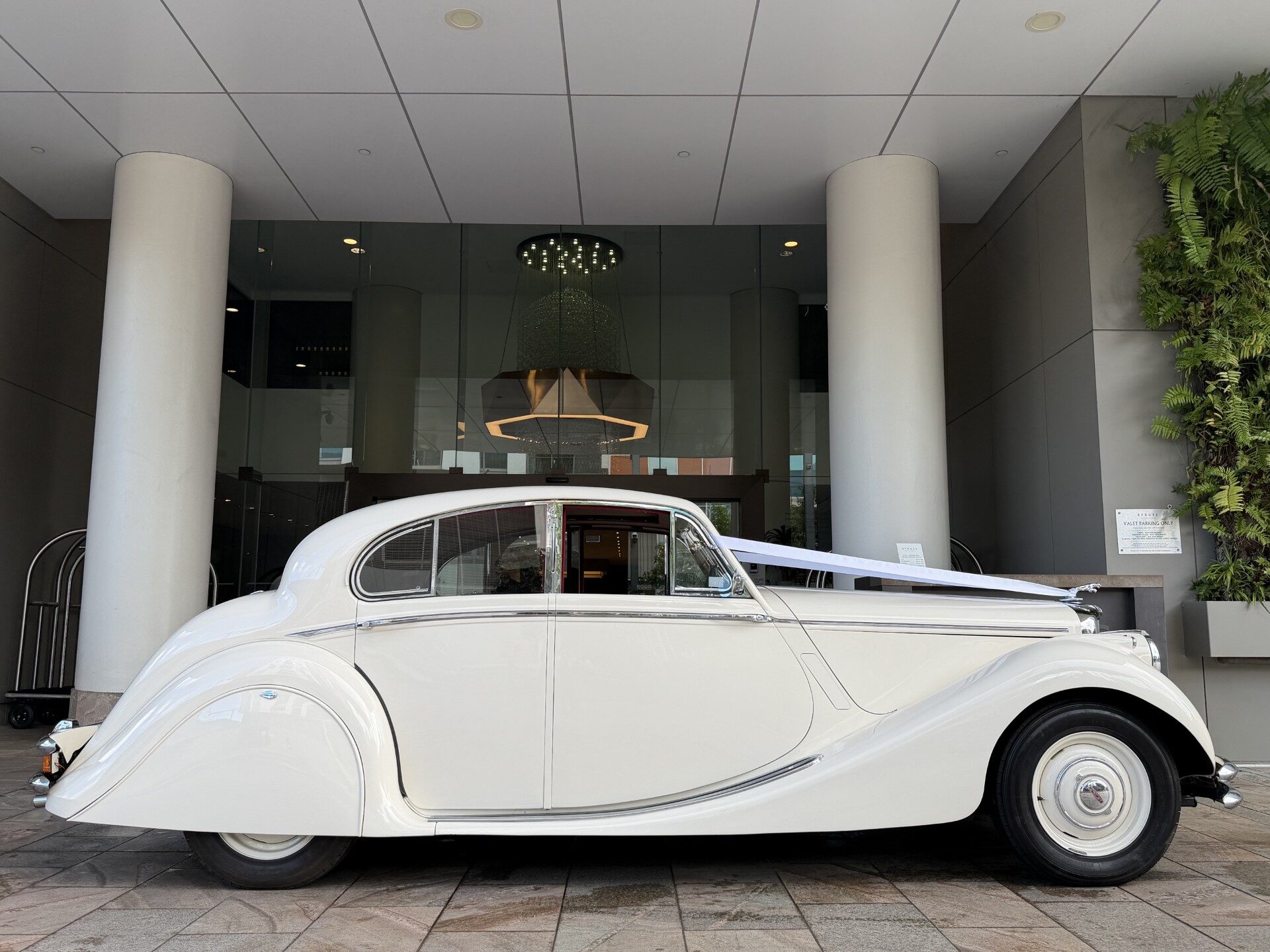 The Duchess Jaguar Mark V