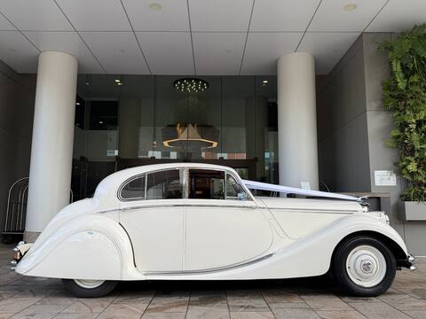 The Duchess Jaguar Mark V classic chauffeur-driven wedding car Brisbane